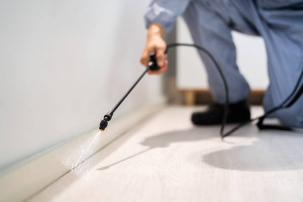 Licensed Termite Control service in Holdenville, OK - Show Me Pest Control