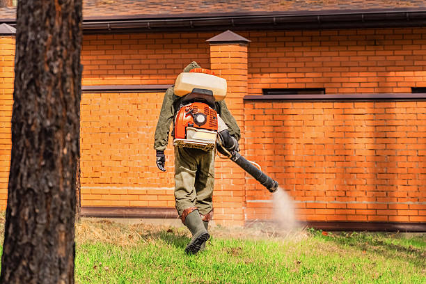Top rated local Mosquito Control specialists in Holdenville, OK